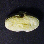 Result Photo