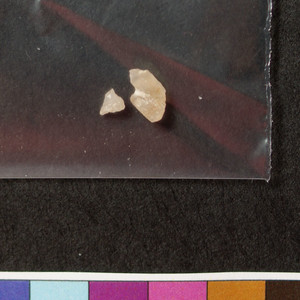 Detail Photo