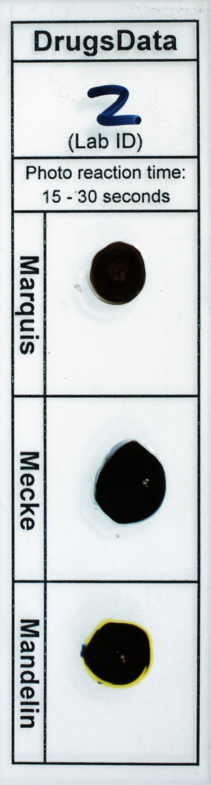 Detail Photo