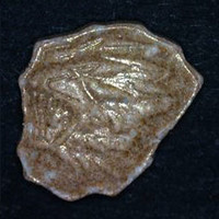 Result Photo