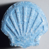 Result Photo