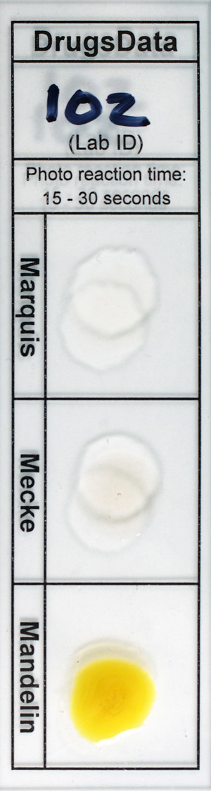 Detail Photo