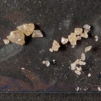 Result Photo