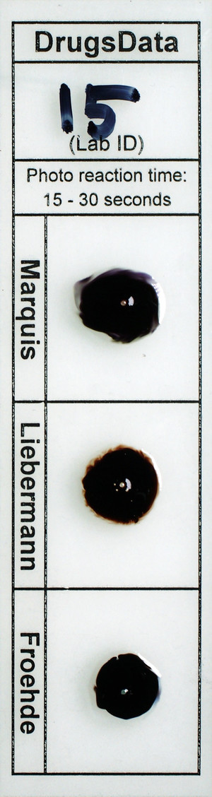 Detail Photo