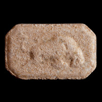 Result Photo