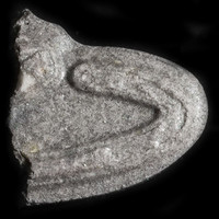 Result Photo