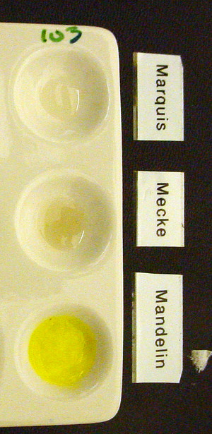 Detail Photo