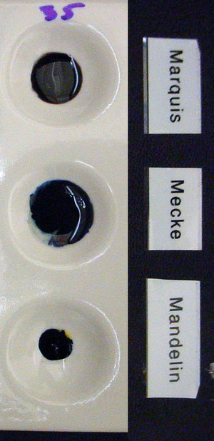 Detail Photo