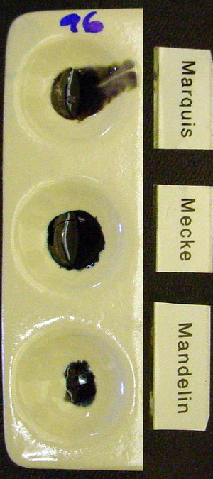 Detail Photo
