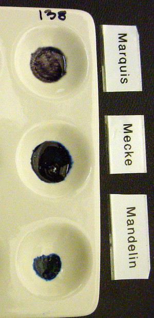Detail Photo