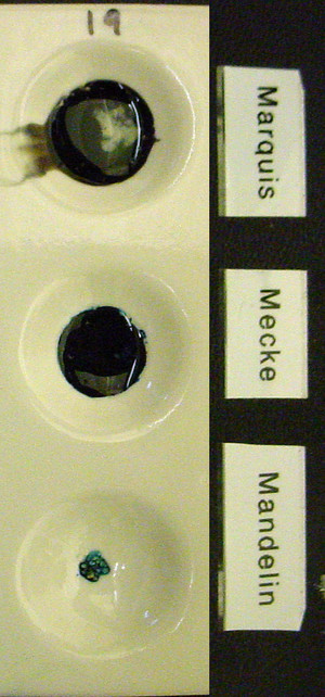 Detail Photo