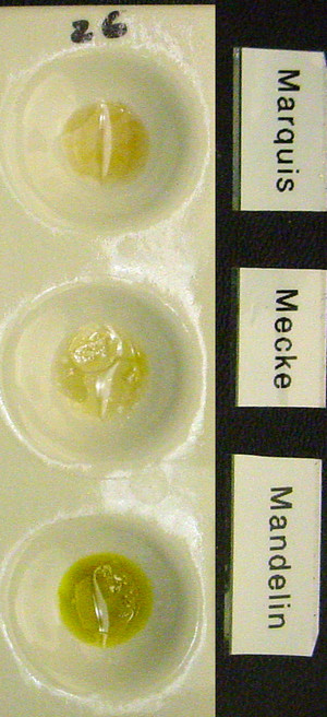 Detail Photo