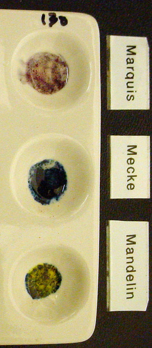 Detail Photo