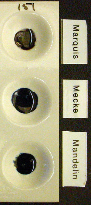 Detail Photo