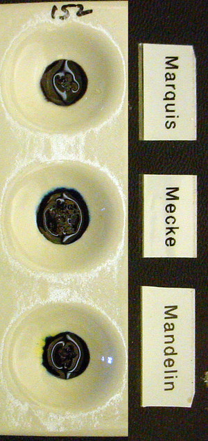 Detail Photo