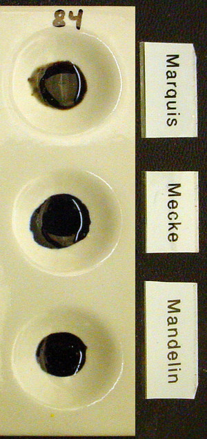 Detail Photo