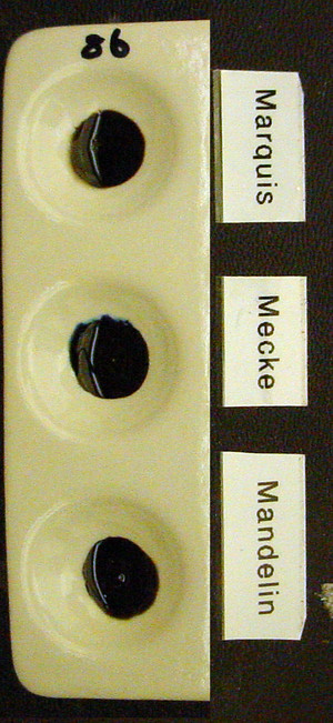 Detail Photo