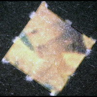 Result Photo
