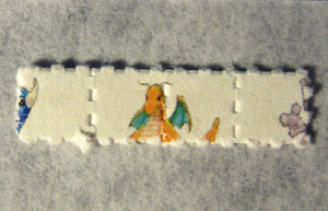 Detail Photo