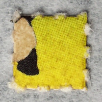 Result Photo