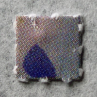 Result Photo