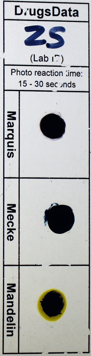 Detail Photo