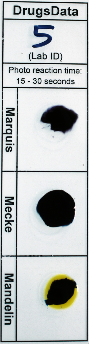 Detail Photo