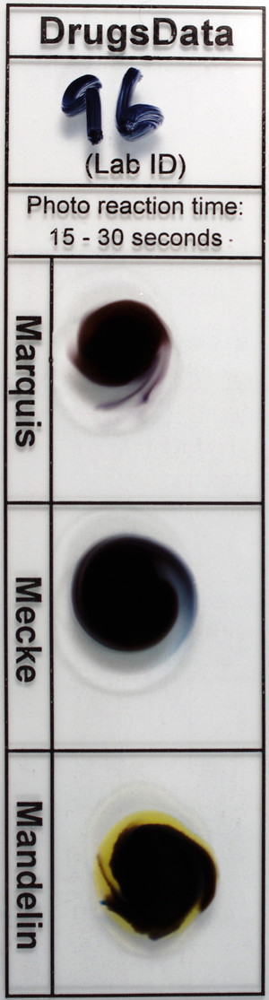Detail Photo