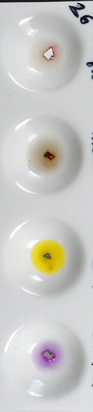 Detail Photo