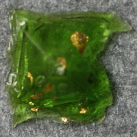 Result Photo