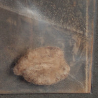 Result Photo