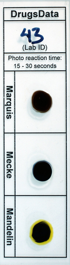 Detail Photo