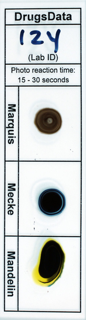 Detail Photo