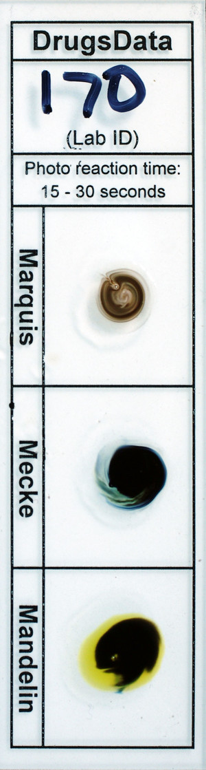 Detail Photo
